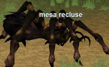 a mesa recluse